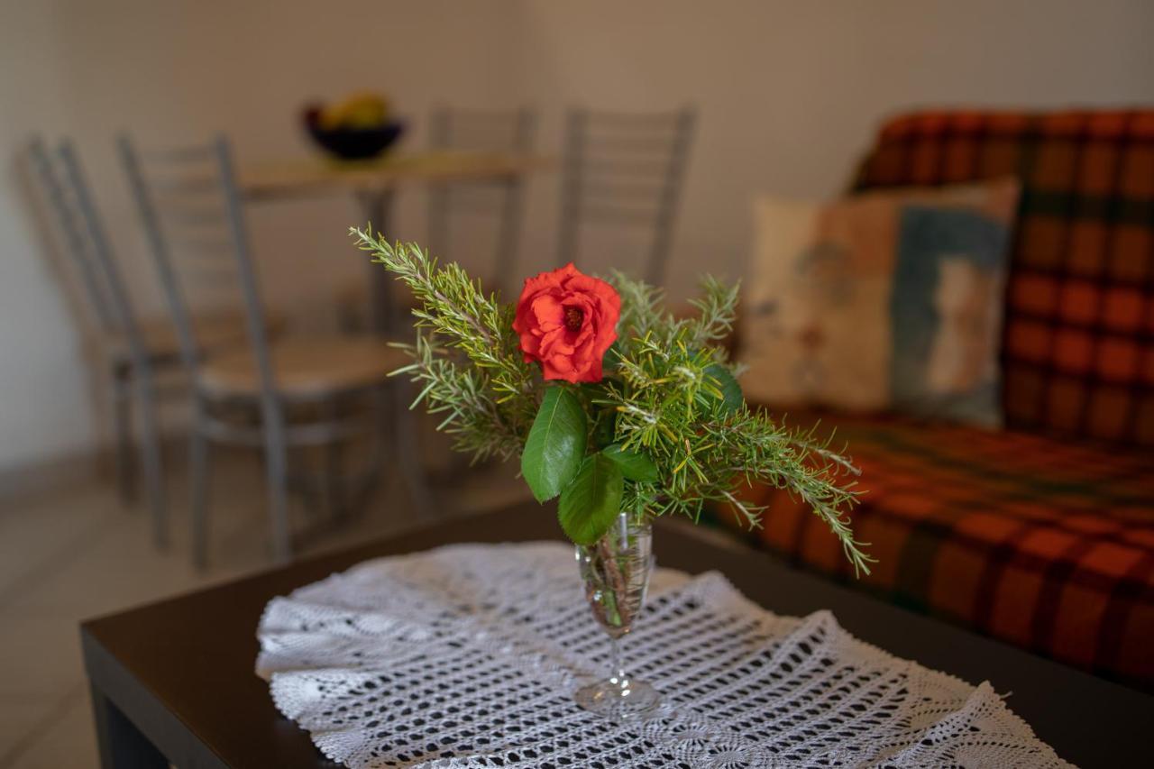 Apartman Kristo Vir Bagian luar foto
